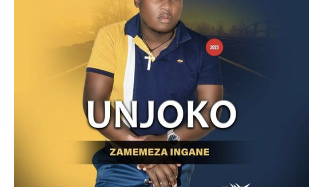 Screenshot 2025-05-02 at 00.04.26 UNjoko – Ngehlula