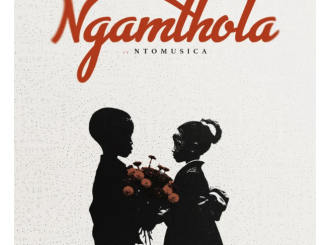 Ngamthola