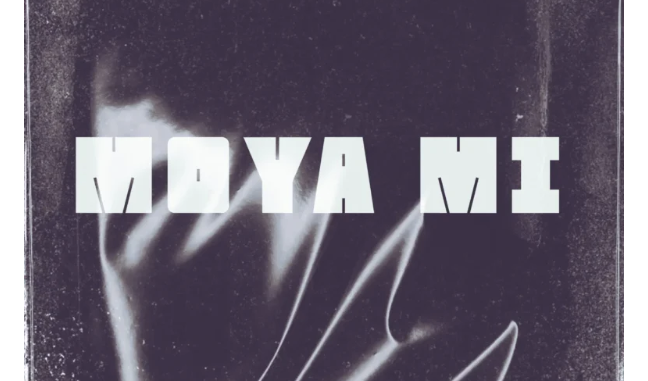 Screenshot 2025-05-02 at 14.20.48 ZANTII, The Lowkeys & Busta 929 – Moya Mi