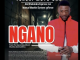 Tongai Moyo Jnr - Ngano