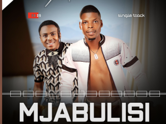 Mjabulisi - Siyazithandanela (feat. Mjolisi)