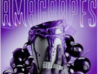 SjavasDaDeejay – Amagrapes