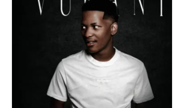 Screenshot 2025-05-09 at 05.31.47 Muziqal Tone – Let’s Go ft LoLoSa, Macassete, ShakaMan YKTV, Kom Da Perc & Vyno Keys