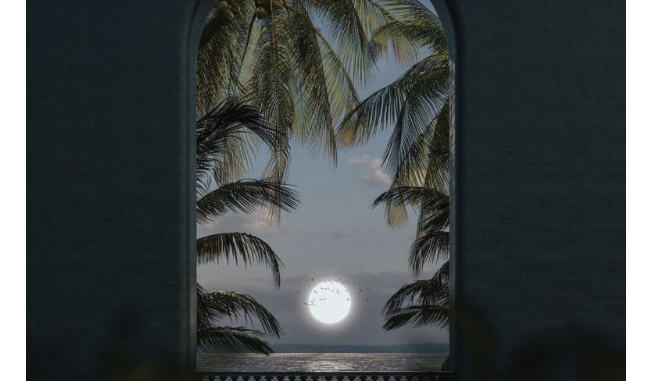 Screenshot 2025-05-09 at 06.21.07 Calvin Fallo – Distorted