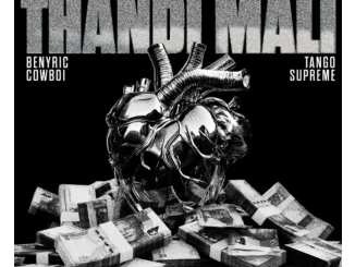 Cyfred, Sayfar & Scotts Maphuma – Thandi Mali (feat. BenyRic, Cowboii & Tango Supreme)