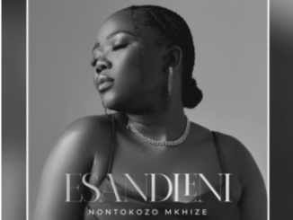Nontokozo - Esandleni Somusa