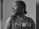 Nontokozo - Esandleni Somusa