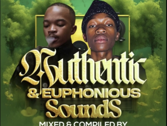 M Cannal & Lowbass Djy – Authentic Euphonious Sounds