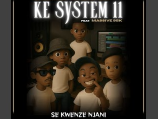 Ke System 11 (Se Kwenze Njani)