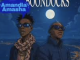 047Mihlali & Kokzin - Amandla Amasha
