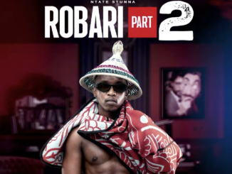 Ntate Stunna – Robari 2