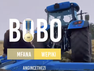 Bobo Mfana Wepiki - Angincethezi