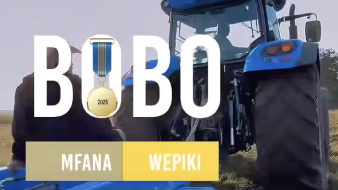Screenshot 2025-05-22 at 07.07.51 Bobo Mfana Wepiki - Angincethezi