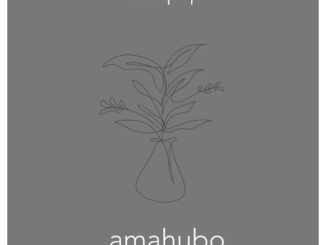 Nutty Nys – Amahubo