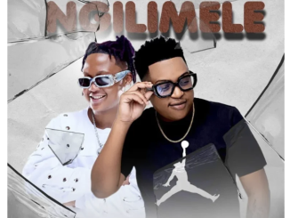 Sipho Magudulela, Eemoh & Frank Mabeat – Ngilimele