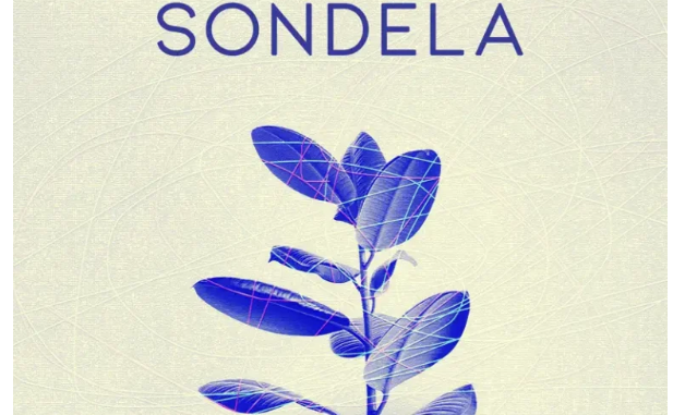 Screenshot 2025-05-22 at 07.52.22 Saint Evo – Sondela