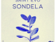 Saint Evo – Sondela