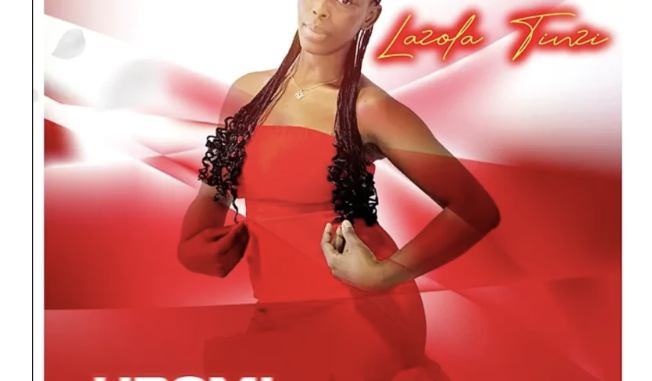 Screenshot 2025-05-22 at 11.44.09 Lazola Tinzi – Wenzokuhle