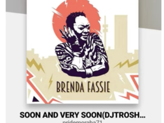 Brenda Fassie – Soon And Very Soon Remix (DJ Troshka SA )