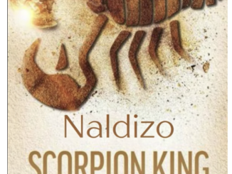 Naldizo