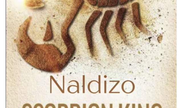Screenshot 2025-05-22 at 13.55.45 Naldizo
