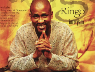 Ringo Madlingozi - Into Yam'