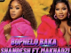 Shandesh – Bophelo baka ft Makhadzi