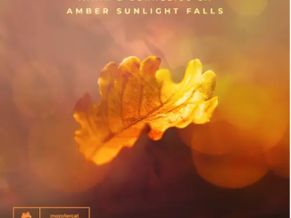 A.M.R & Cornelius SA – Amber Sunlight Falls