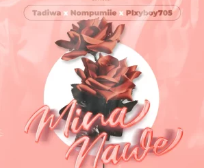 Tadiwa – Mina Nawe ft Plxyboy705, Nompumiie, Musa De Vocali$t & Tshepo Keyz