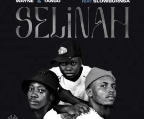 Wayne – Selinah ft Tango & SlowburnSA