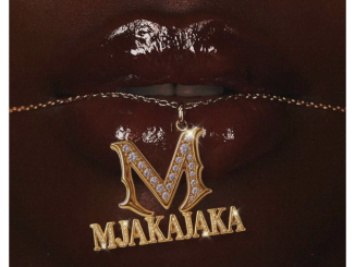 Fake’well – Mjakajaka