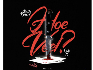 Priddy Prince – Hoeveel ft Luda G