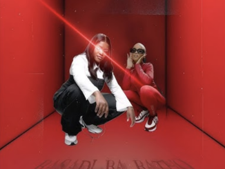 Basadi Ba Batho ft. Dr Skaro