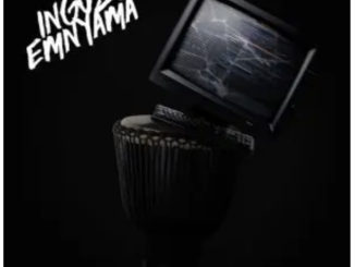 Nandipha808 – Shubisa ft. DT.MO