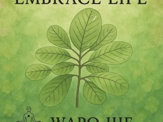 WAPO Jije – Embrace Life